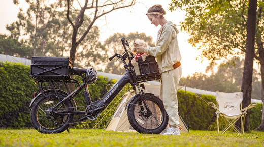 Totem Hauler Utility EBike vs. Himiway Big Dog Cargo EBike