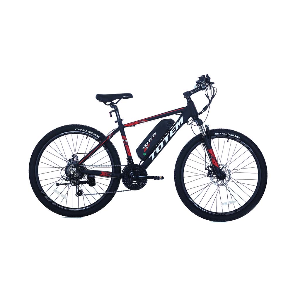 Totem fat 2024 bike price