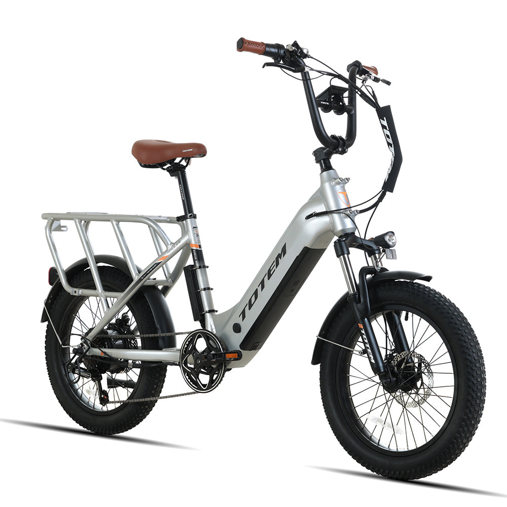 Electric outlet bike hauler